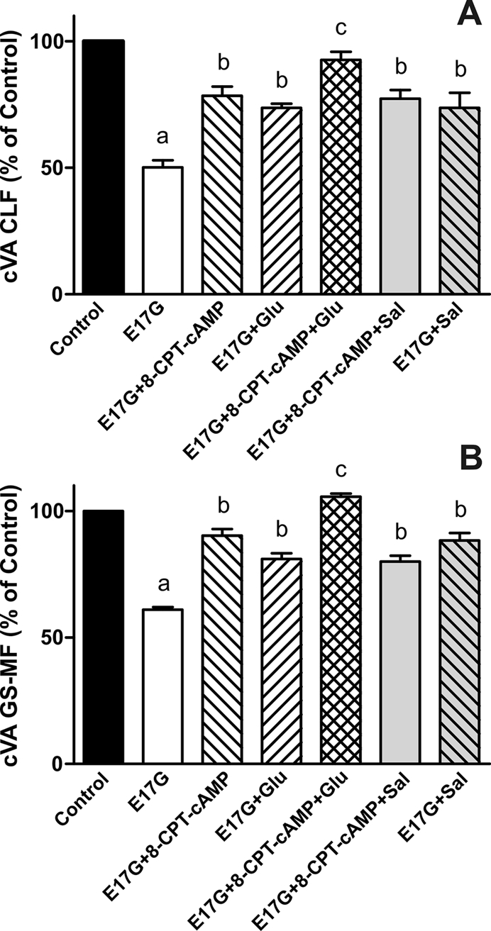 FIGURE 9: