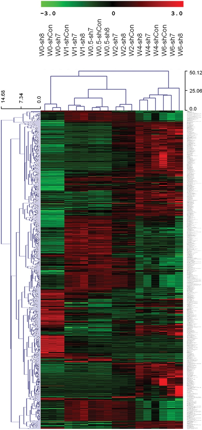 Figure 4.