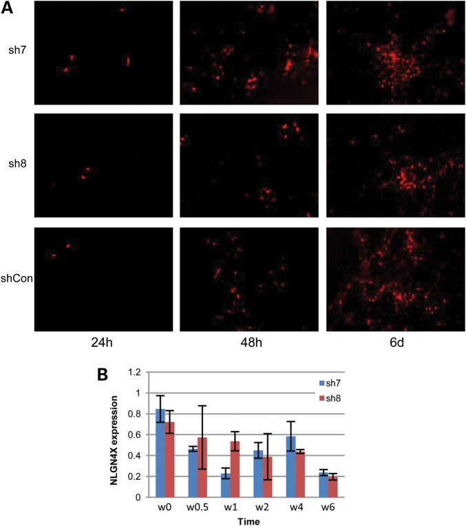 Figure 2.