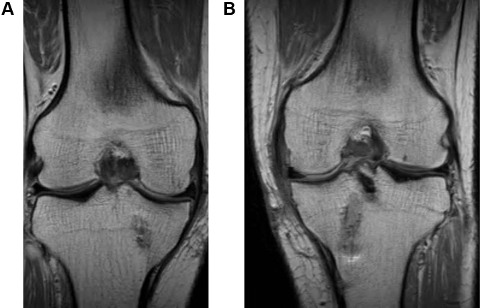 Fig. 6