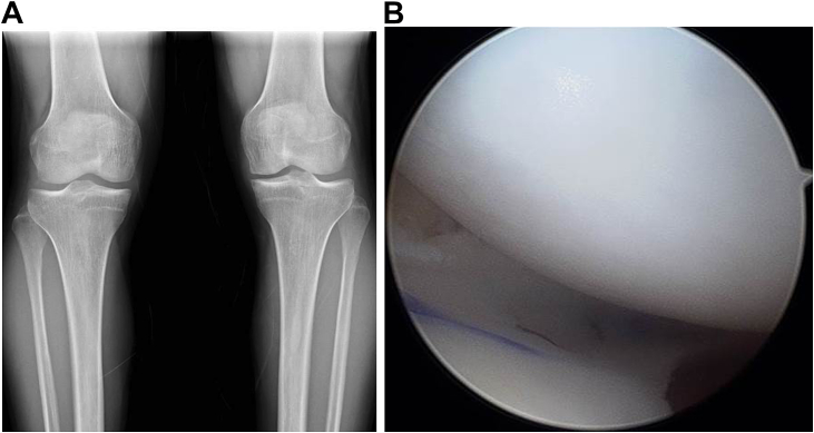 Fig. 2