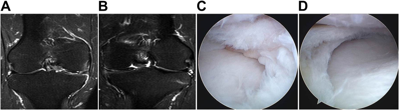 Fig. 4