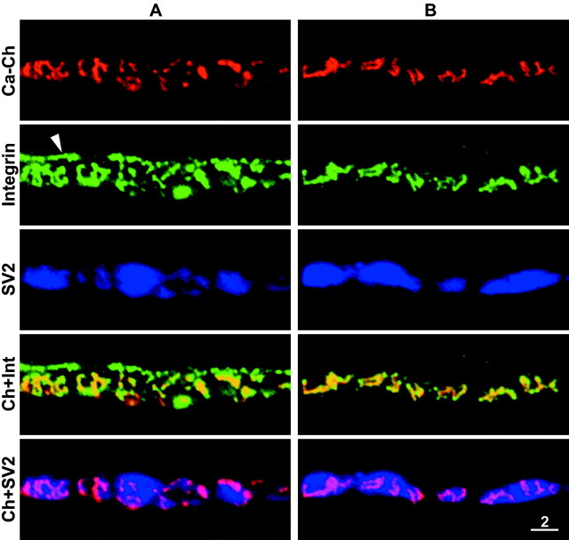 Fig. 8.