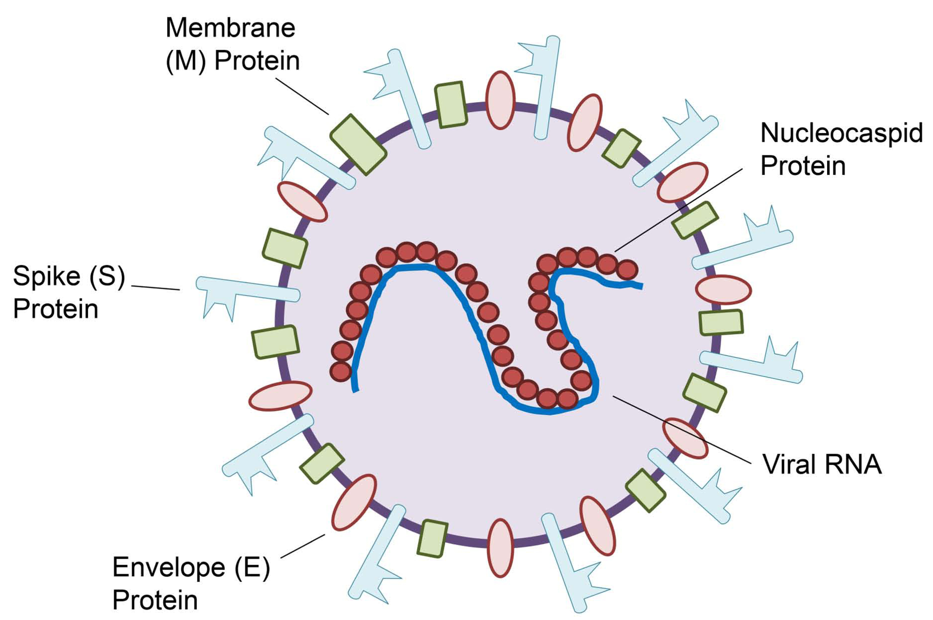 Figure 1a: