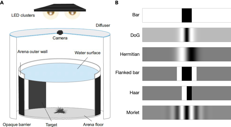 Figure 3