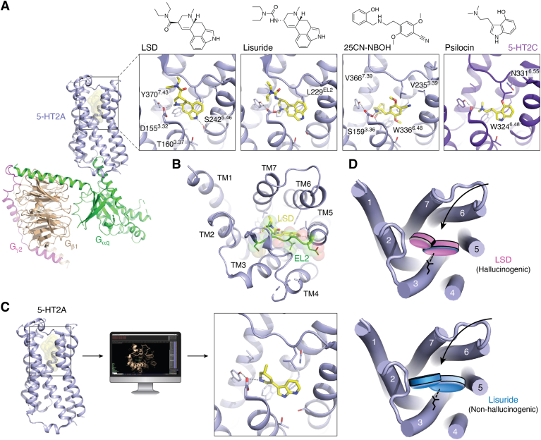 Figure 4