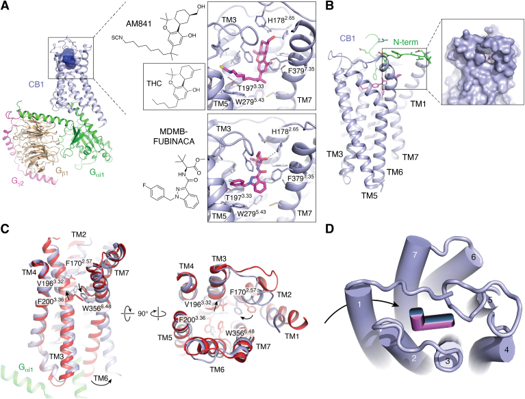 Figure 3