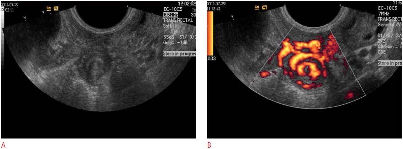 Fig. 10.