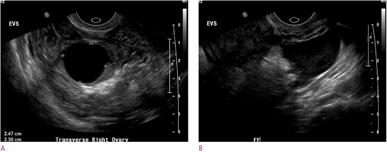 Fig. 6.