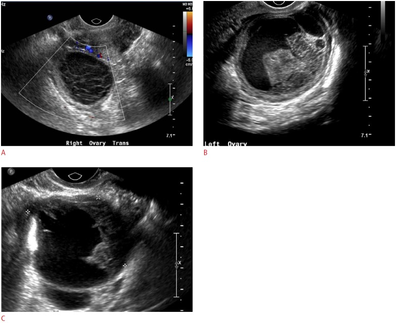 Fig. 5.