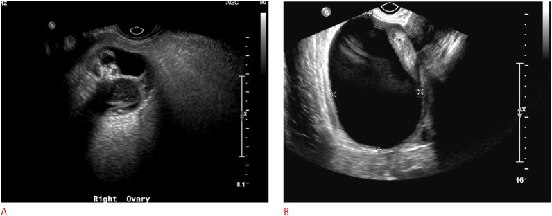 Fig. 9.