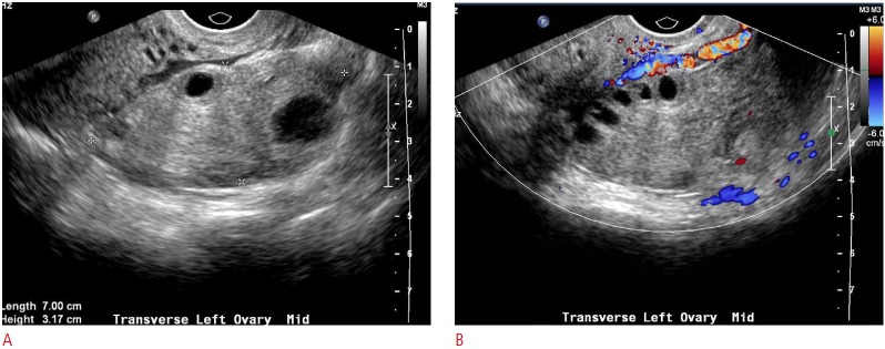 Fig. 8.