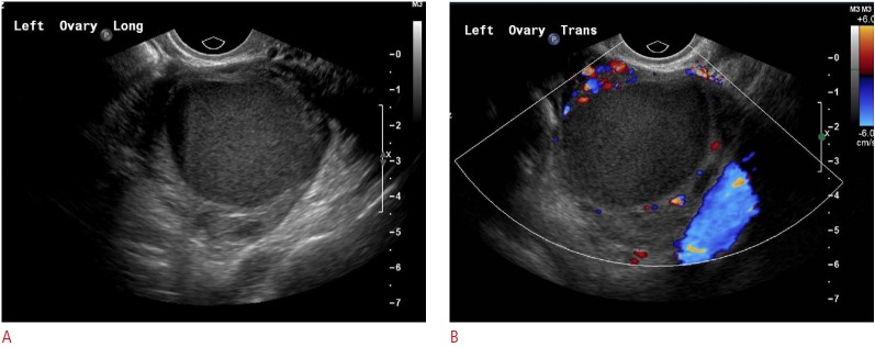 Fig. 7.