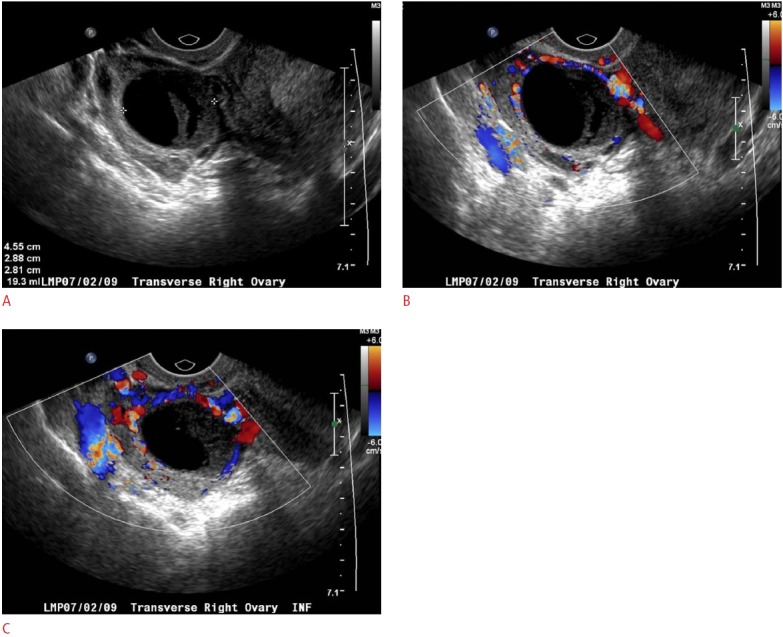 Fig. 4.