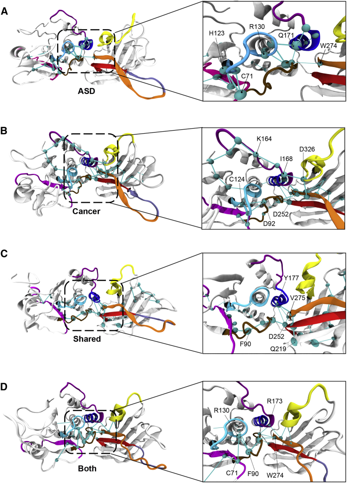 Figure 5