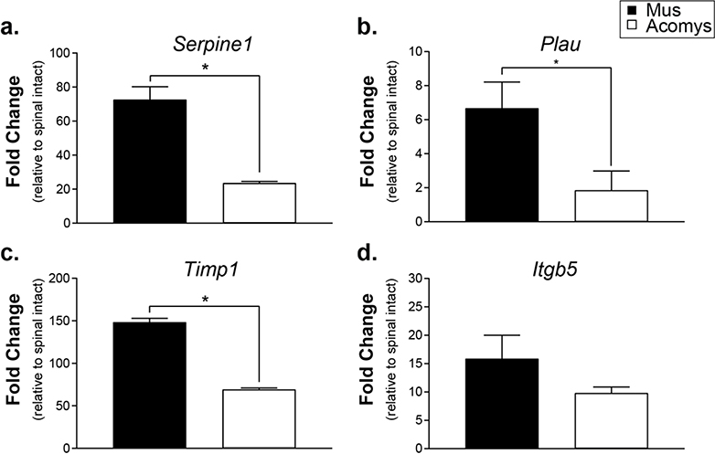 Figure 2: