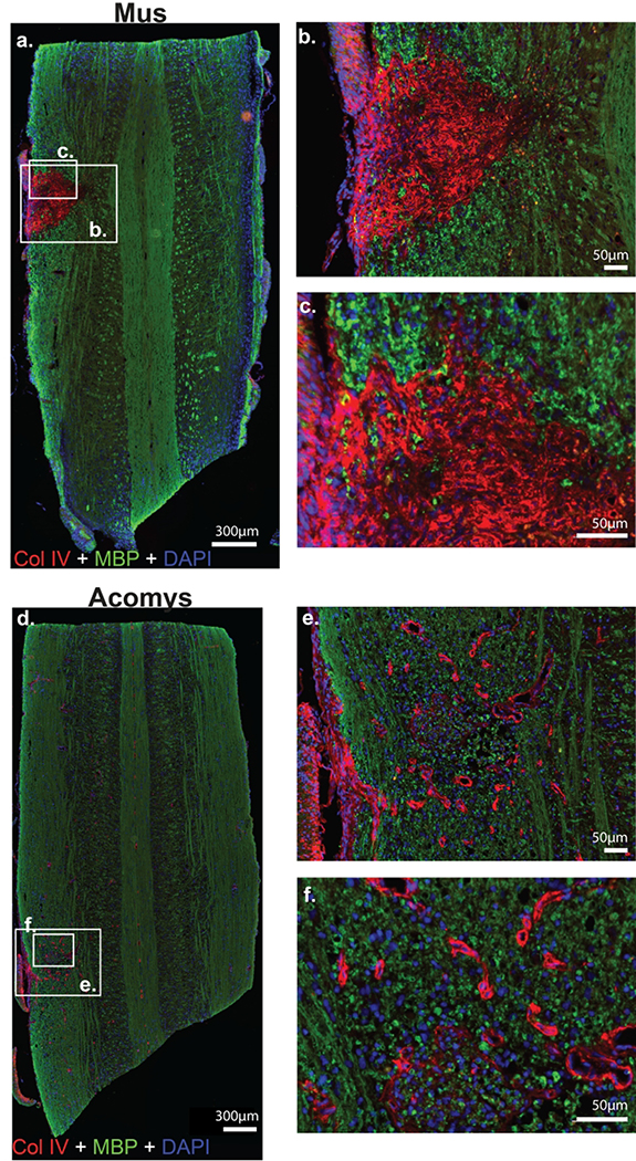 Figure 4: