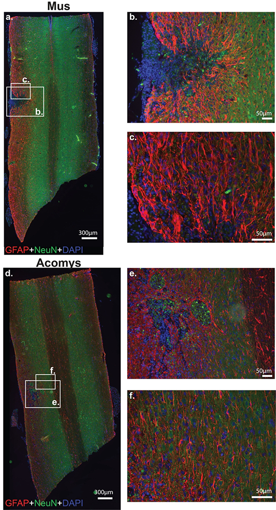 Figure 6: