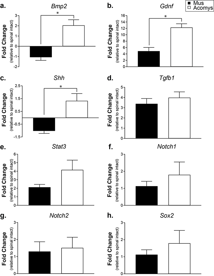 Figure 3: