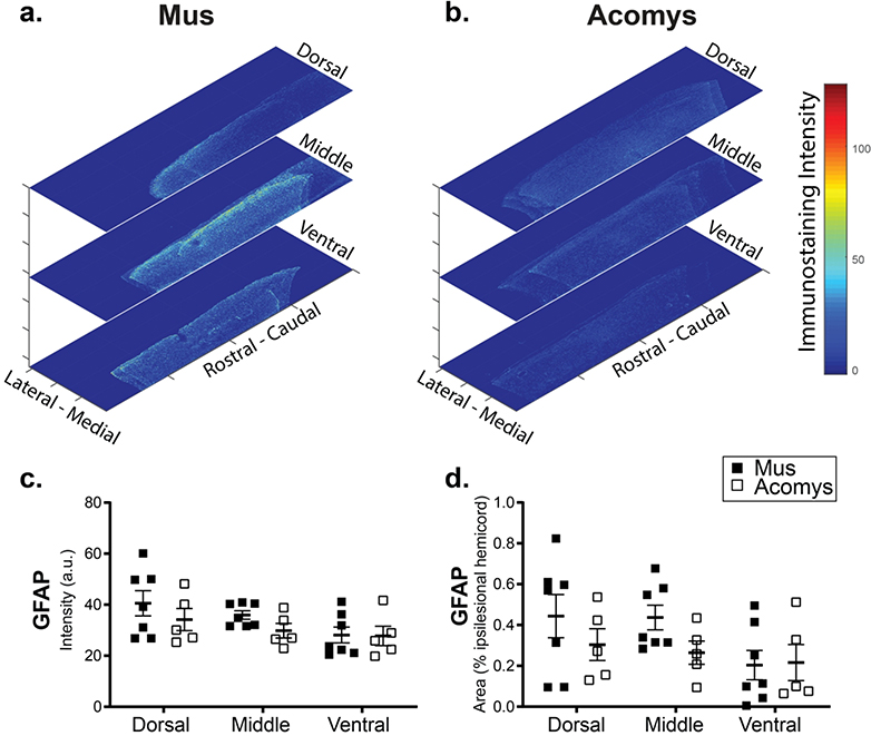 Figure 7: