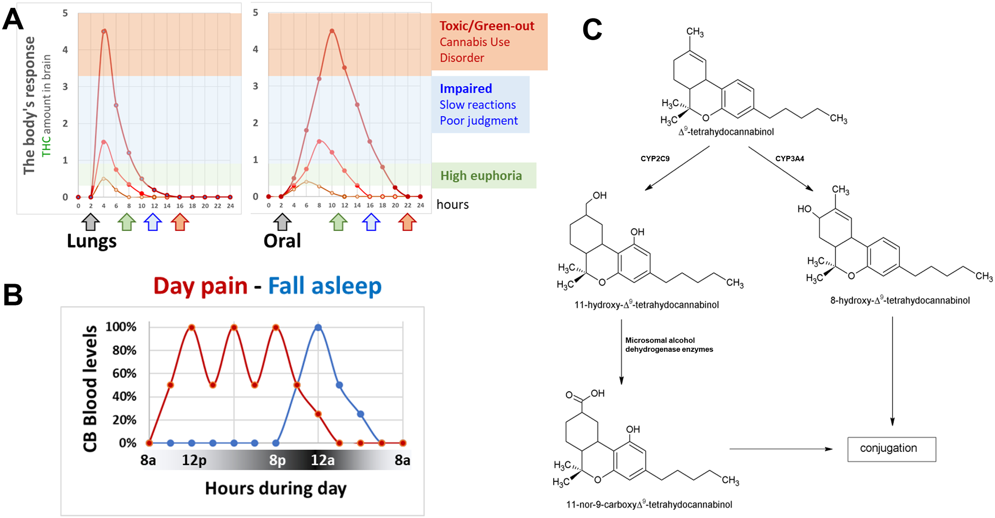 Figure 2: