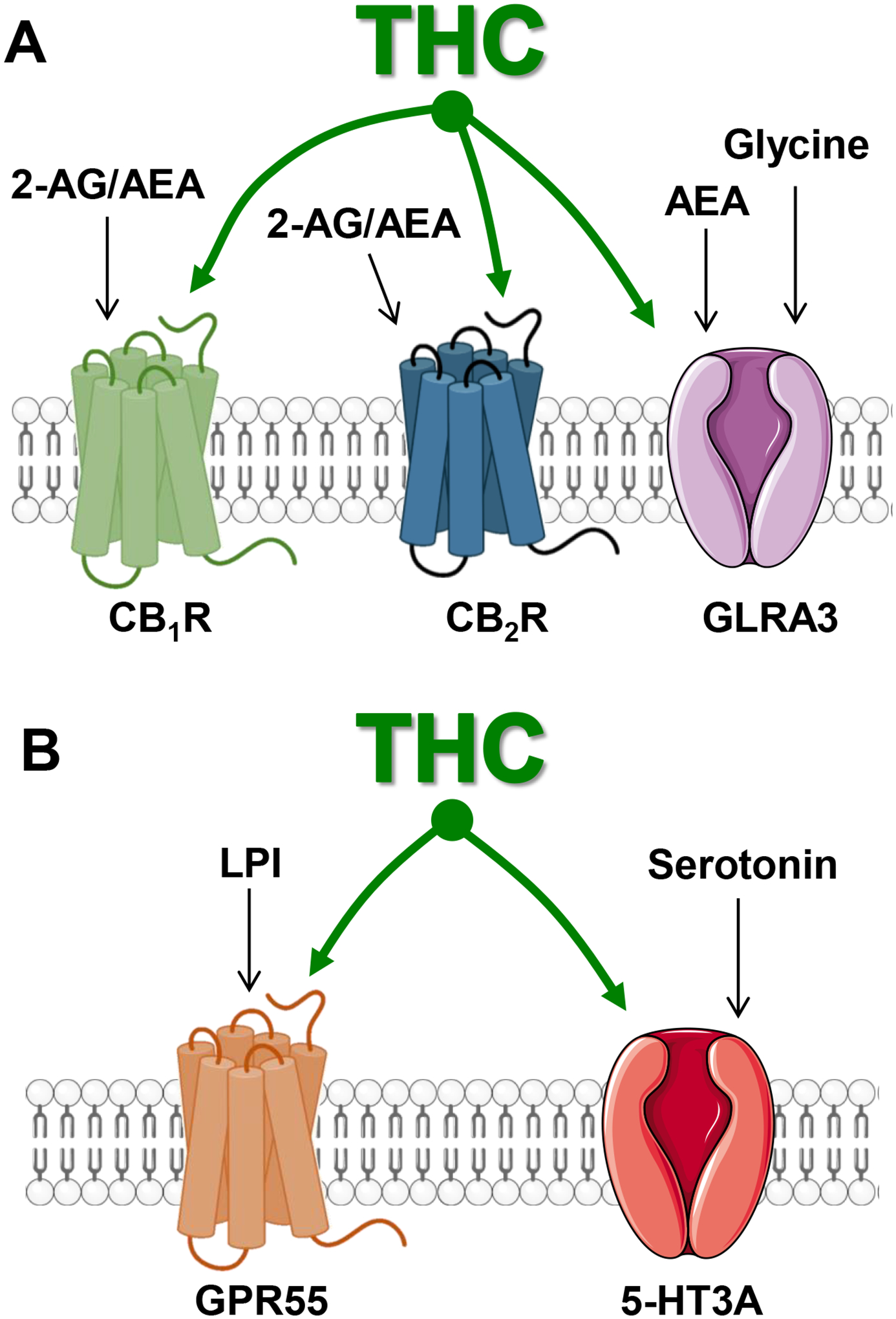 Figure 4: