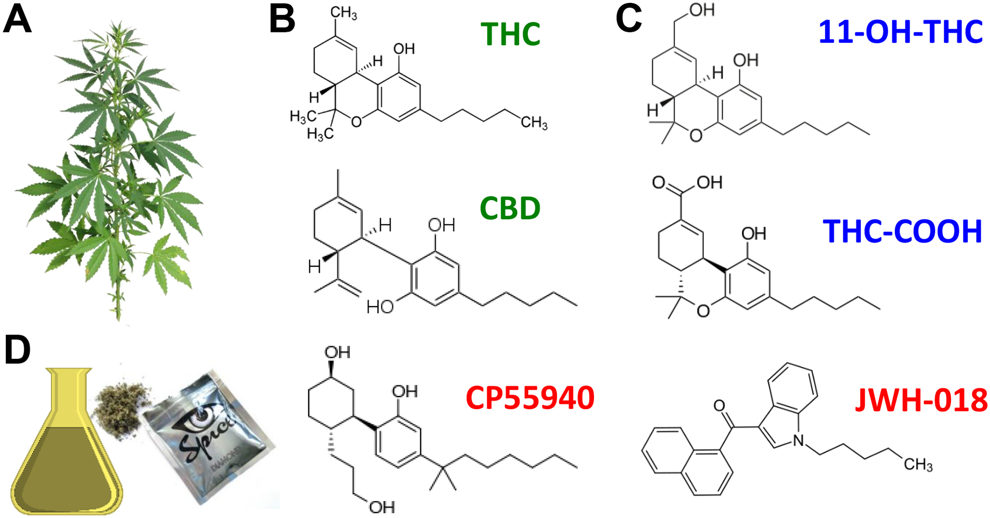 Figure 1: