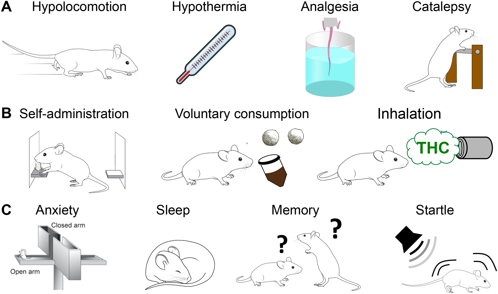 Figure 6: