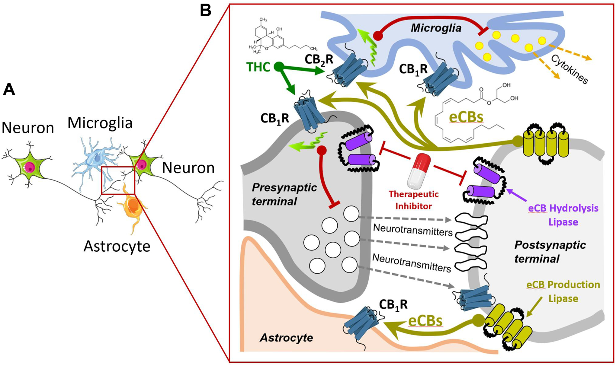 Figure 5: