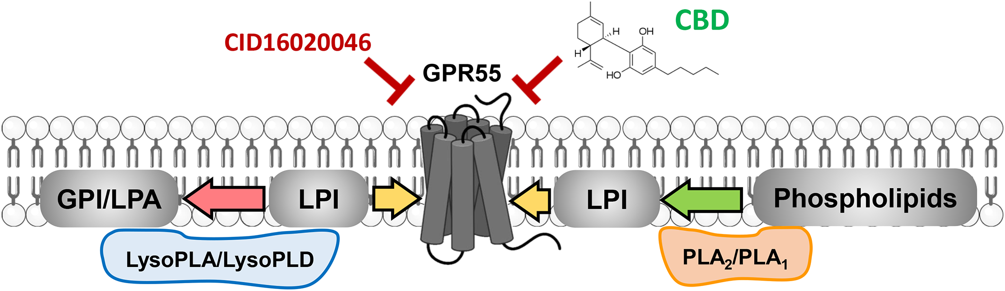 Figure 9: