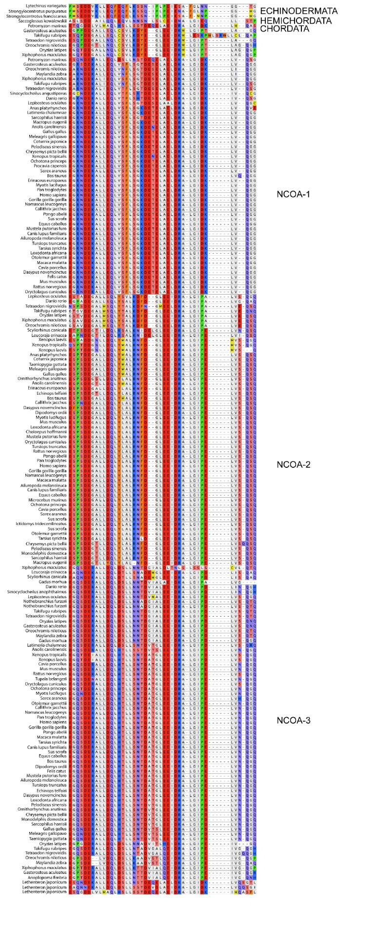 Figure 2—figure supplement 2.