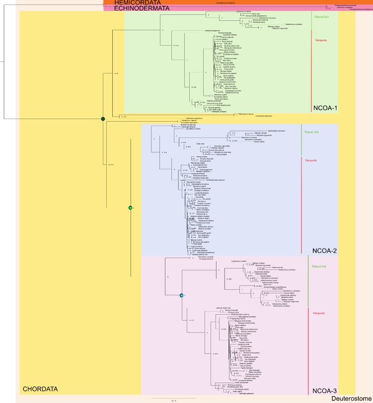 Figure 2—figure supplement 4.