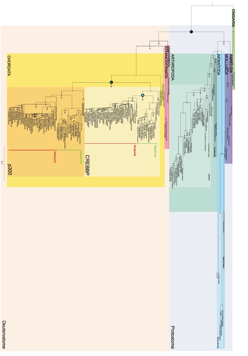 Figure 2—figure supplement 3.