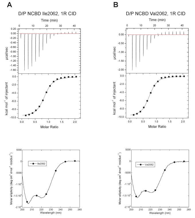 Figure 6.