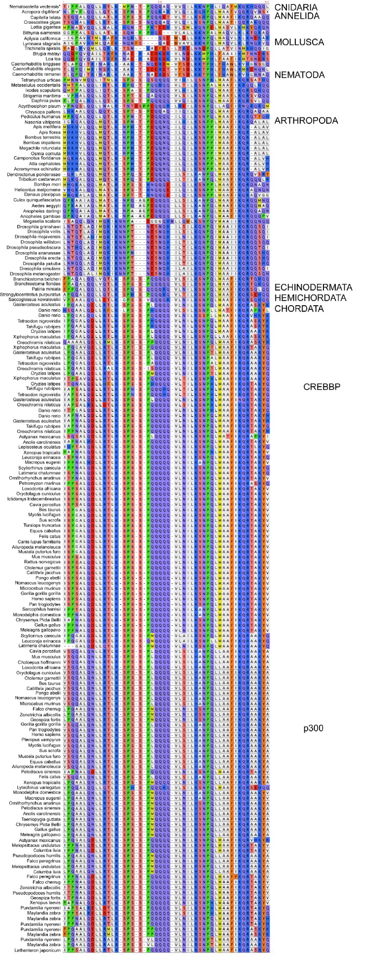 Figure 2—figure supplement 1.