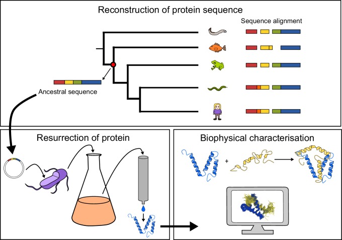 Figure 1.