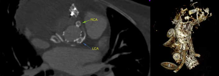 Figure 5