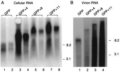 FIG. 5