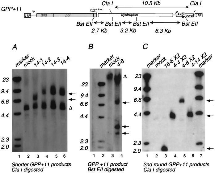 FIG. 6