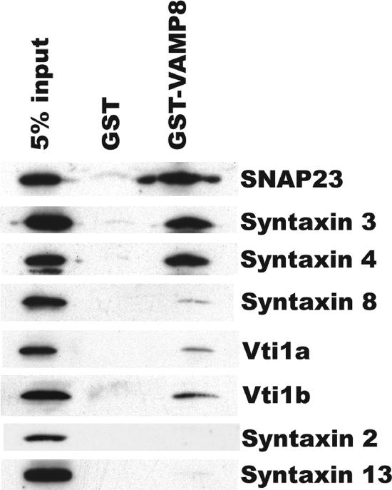 FIG. 8.