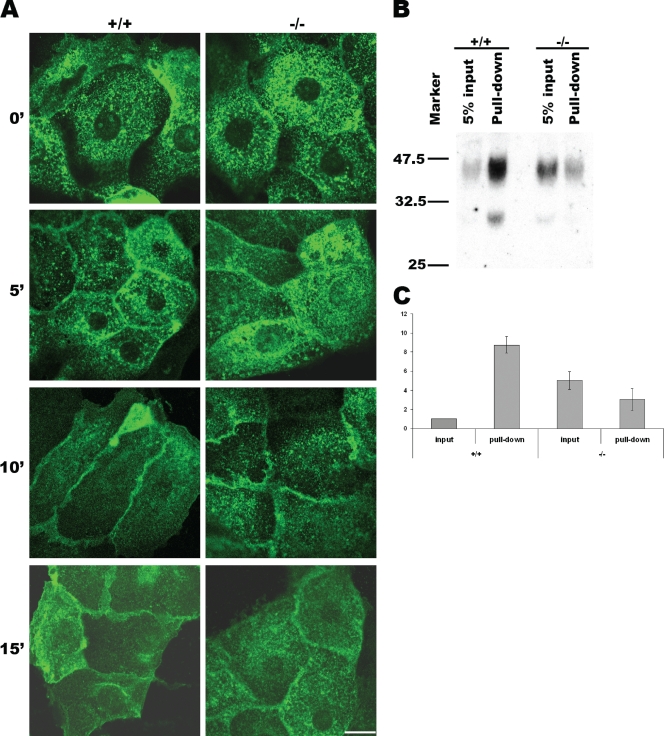 FIG. 7.