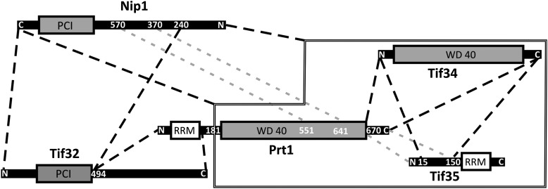 FIGURE 7.