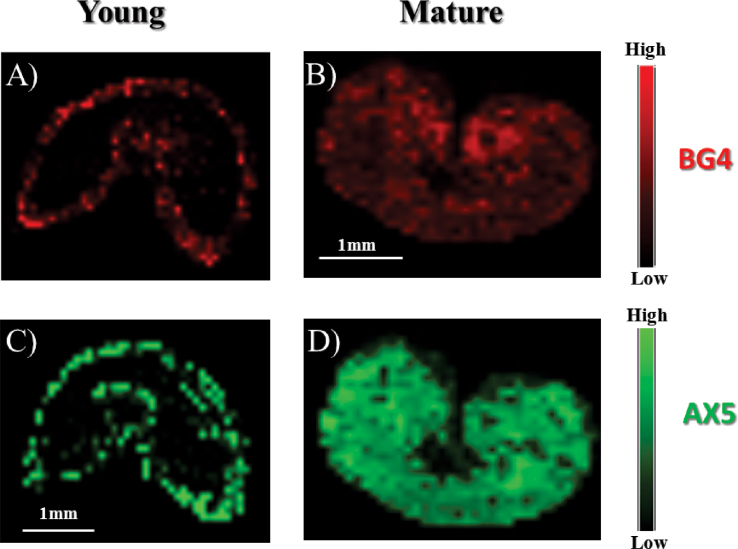 Fig. 3.