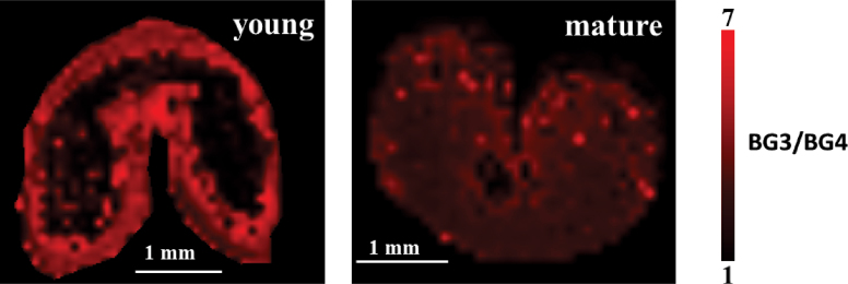 Fig. 4.