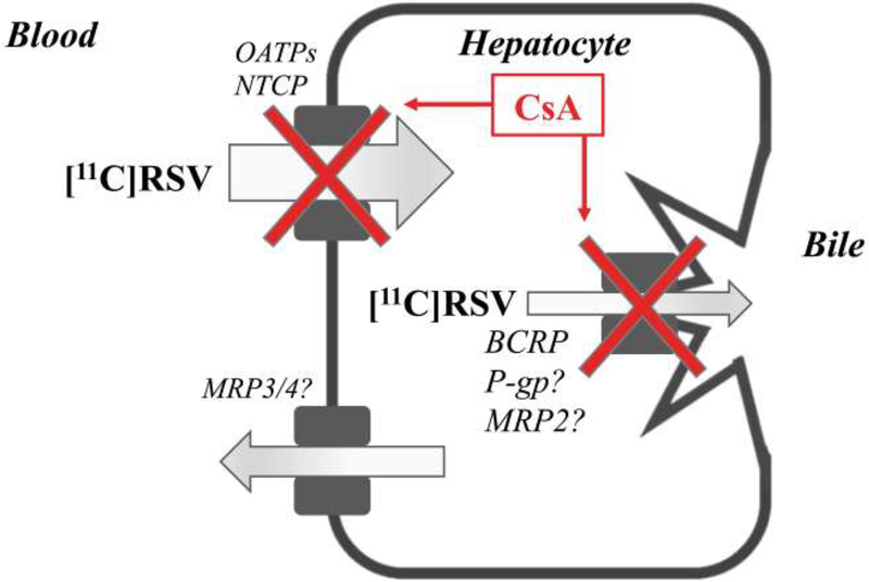 Figure 6: