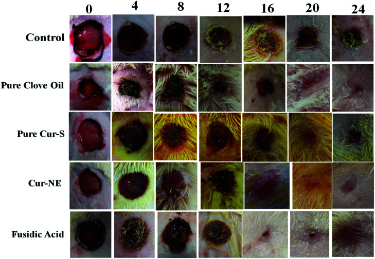 Fig. 7