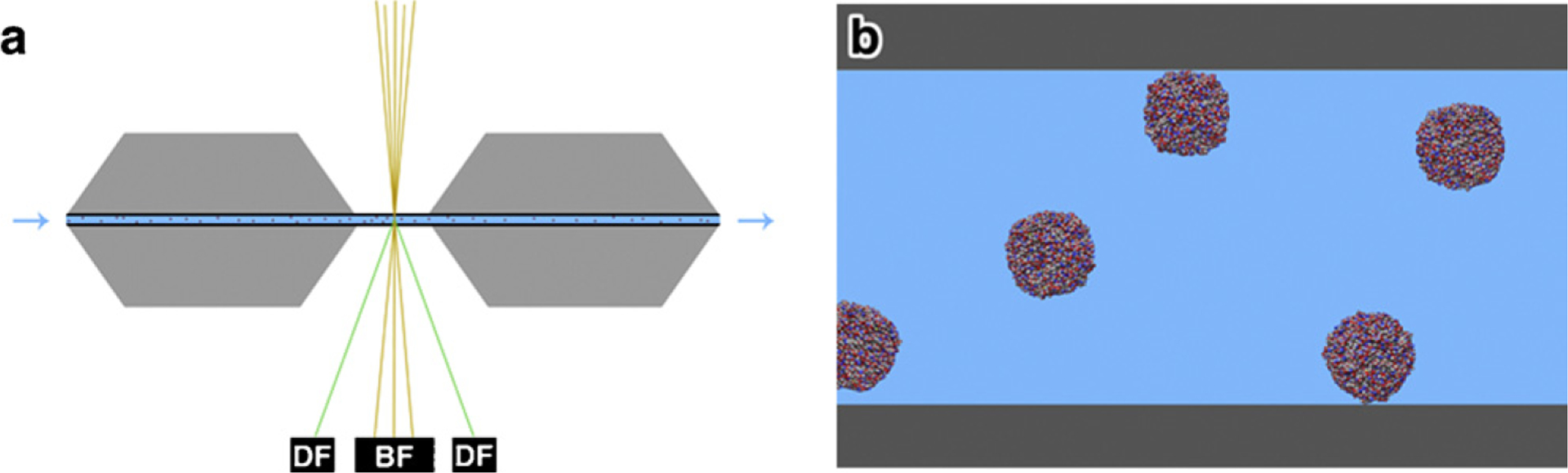 Fig. 1.