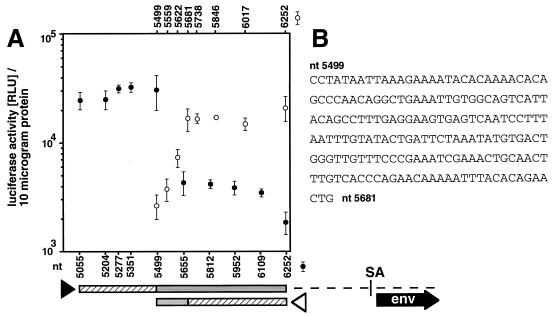 FIG. 6