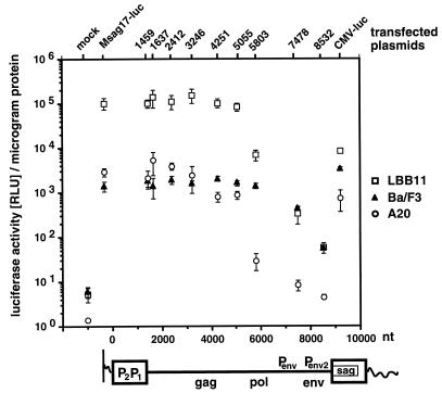 FIG. 3