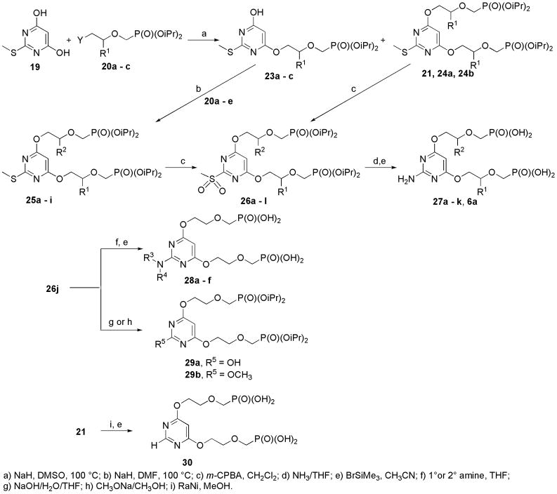 Scheme 3